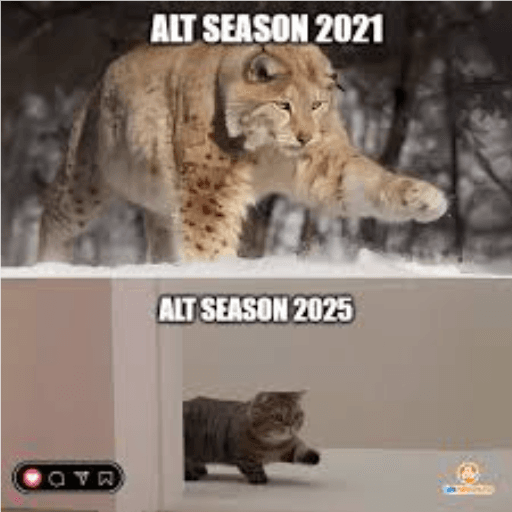 alt ss now