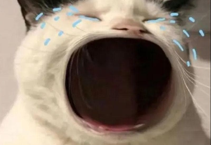 huhu