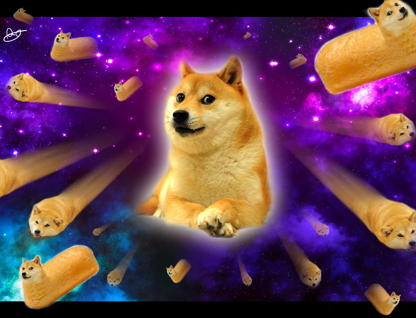 COSMO DOGE